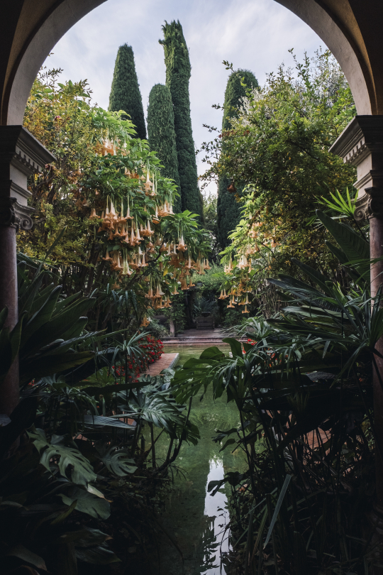 Jardins de La Villa Ephrussi de Rothschild