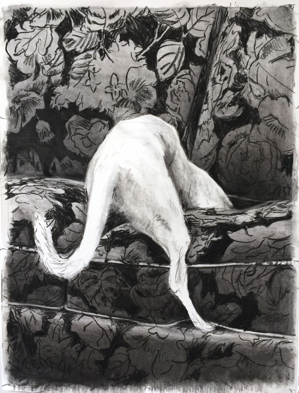 Louise Vendel, "Dug variation", fusain sur papier, 70 x 55 cm, 2020