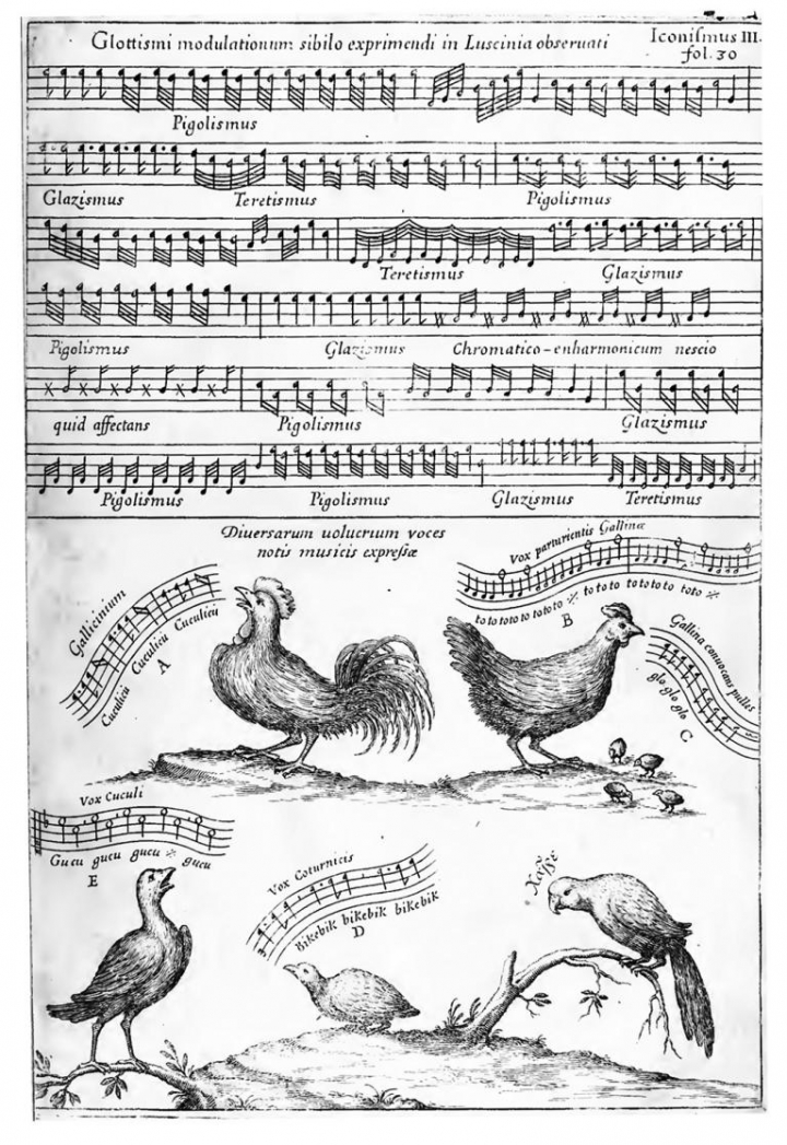 Illustration : page extraite du Musurgia universalis Tomus I, traité sur la musique rédigé par Athanasius Kircher (1602-1680), publié en 1650.