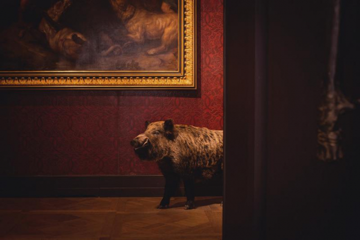 Vues des salles du musée de la Chasse et de la nature. Photo Didier Bizet / Alamy