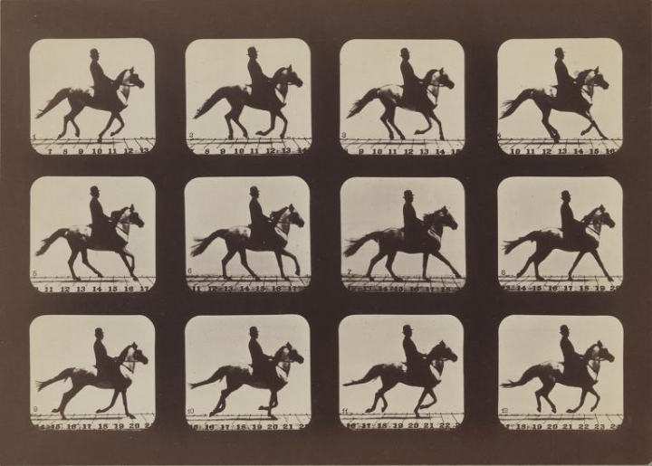 Eadweard Muybridge (1830–1904), Attitudes of Animals in Motion, 1879 imprimé en 1881, épreuve à l’albumine argentique,16 × 25.3 cm. Metropolitan Museum of Art de New-York.