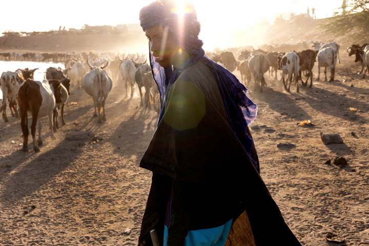 Exposition Peuls du Sahel, Pascal Maitre