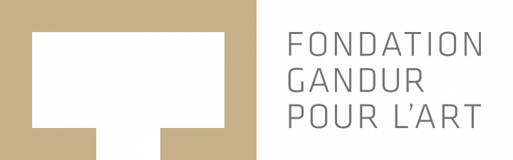 logo Fondation Gandur pour l'Art