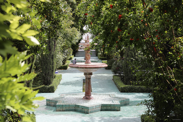 le jardin principal de la Grande Mosquée de Paris, baptisé « Le Jardin d’Eden ».