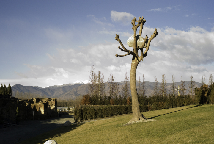 Giuseppe Penone