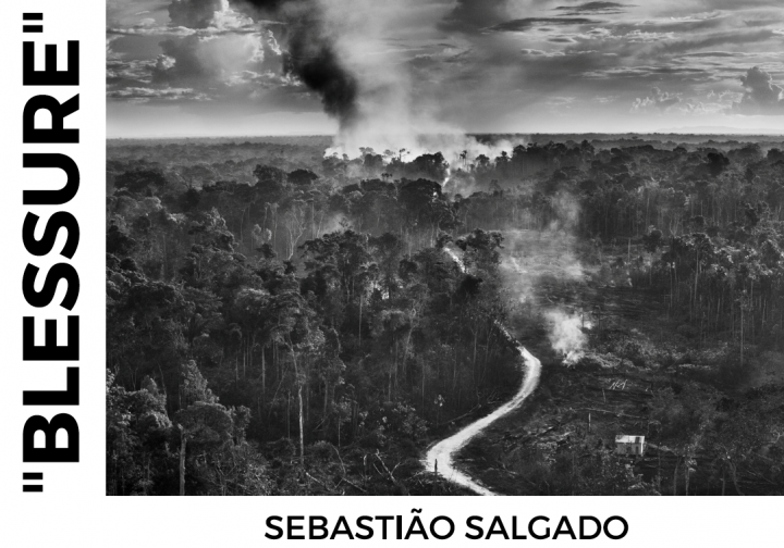 Salgado, exposition Blessure