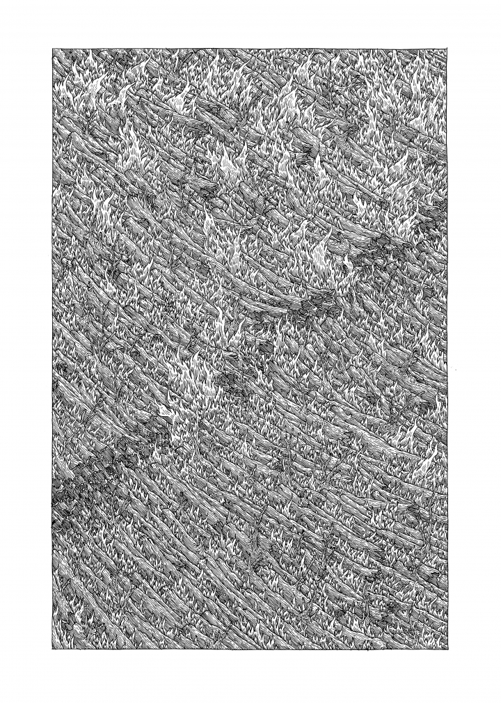 Clément Vuillier, "Feu 10", plume et encre de Chine sur papier Schollerhammer Duria, 40  x 28,5 cm, 2017