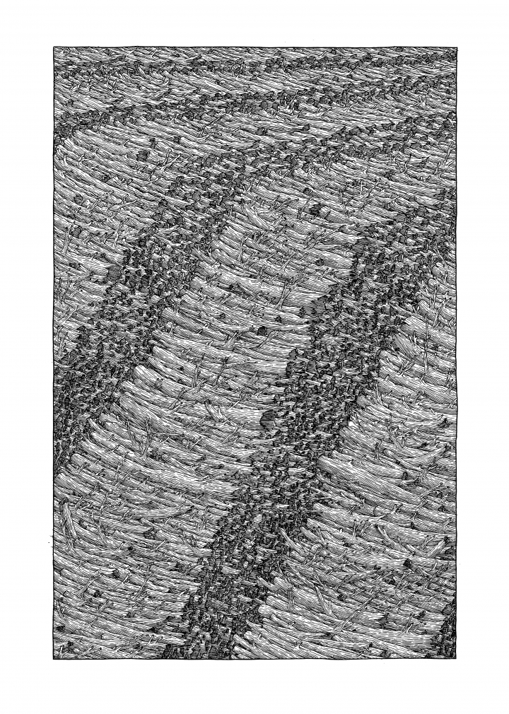 Clément Vuillier, "Pile de bois", plume et encre de Chine sur papier Schollerhammer Duria, 40  x 28,5 cm, 2017