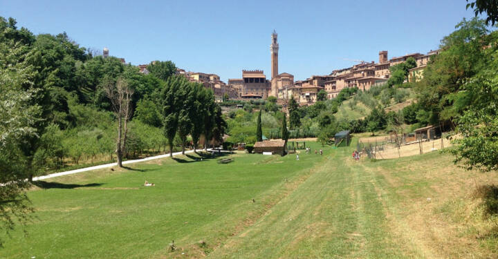 La vallée « l’Orto de Pecci ». Photo DR