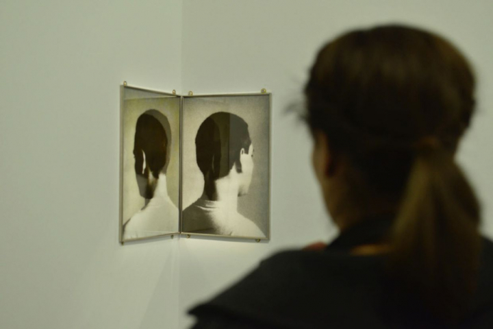 Présentation de l’œuvre de Markus Raetz, « Hecht » (Berlin/Bern 1982), pendant l’exposition « Entre sculpture et photographie », en 2016 , au Musée Rodin. Photo Bernard Perrine