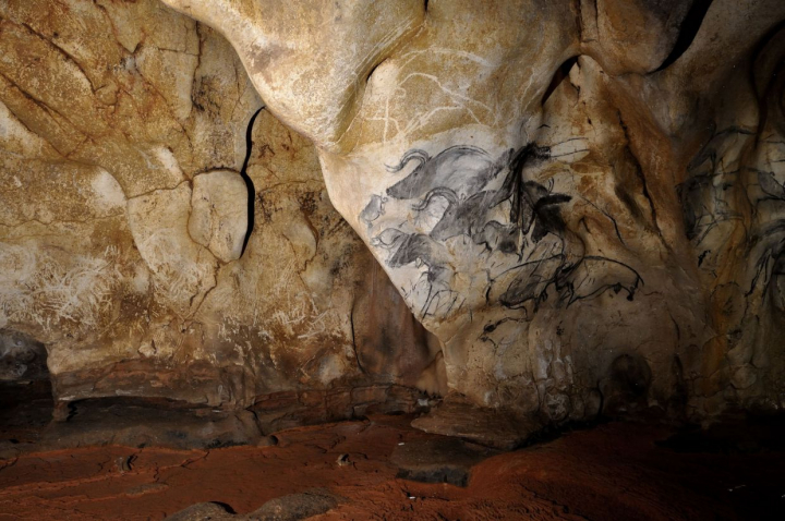 Grotte Chauvet-Pont d’Arc, composition dite du “Panneau des chevaux” réalisée à l’estompe sur la paroi calcaire située à plus de 150 mètres de l’entrée. Photo J.-M.Geneste, Ministère de la culture et de la communication