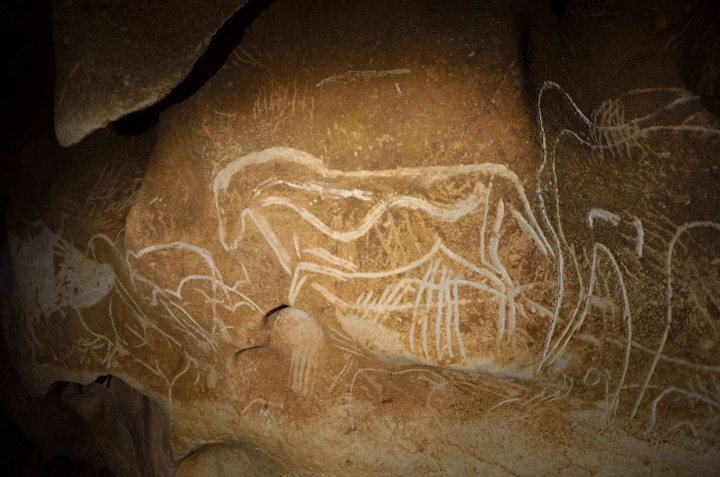 Grotte Chauvet-Pont d’Arc, gravures d’ours, de cheval et de mammouth sur paroi calcaire molle. Les tracés sont faits au doigt et à l’instrument. Photos J.-M.Geneste, Ministère de la culture et de la communication