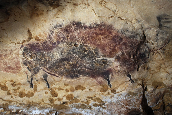 Grotte de Lascaux, figuration de bison dont la robe polychrome (manganèse et oxyde de fer) est appliquée par aérographie alors que les contours, ainsi que les signes en flèches, sont gravés avec un outil en silex. Photos J.-M.Geneste, Ministère de la culture et de la communication