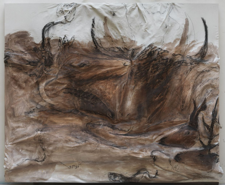Miquel Barceló, Peinture pariétale sur toile, 2015, technique mixte sur toile, 235 x 293 x 26 cm. © André Morin, 2016