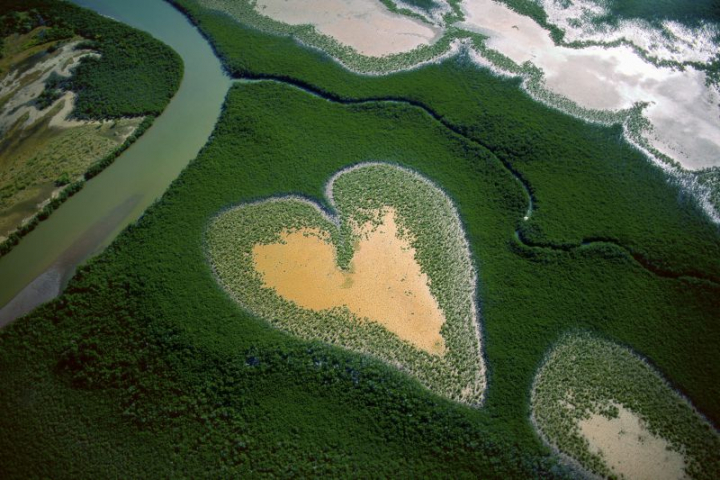 Yann Arthus-Bertrand, Cœur de Voh, 1990, Nouvelle-Calédonie, France (20°56'S - 164°39'E)