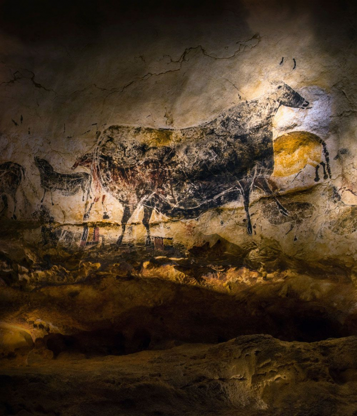 Une des nombreuses représentations d'animaux de la Grotte de Lascaux, reproduite à l'identique dans sa réplique de Lascaux IV, inauguré en décembre 2016. Photo Centre International de l’Art Pariétal de Montignac-Lascaux
