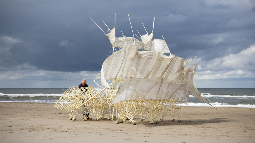  Plaudens Vela met Theo Jansen, foto Marco Zwinkels