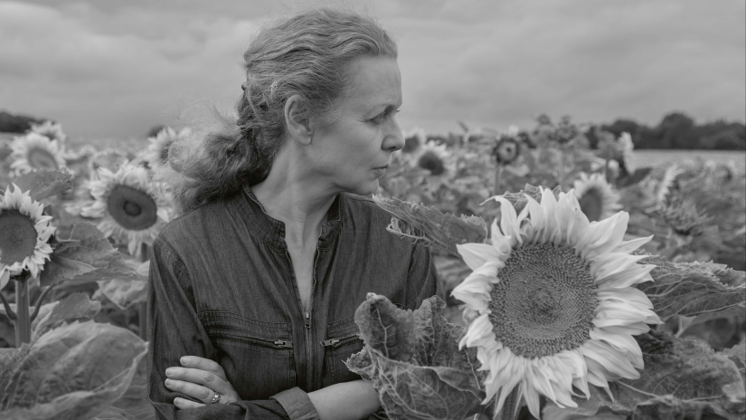Dialogue inattendu : "Morisot/Pétrovitch, Soleil"