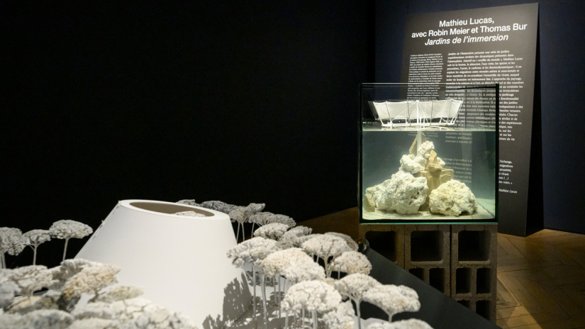 Emulations II - concours d'architecture