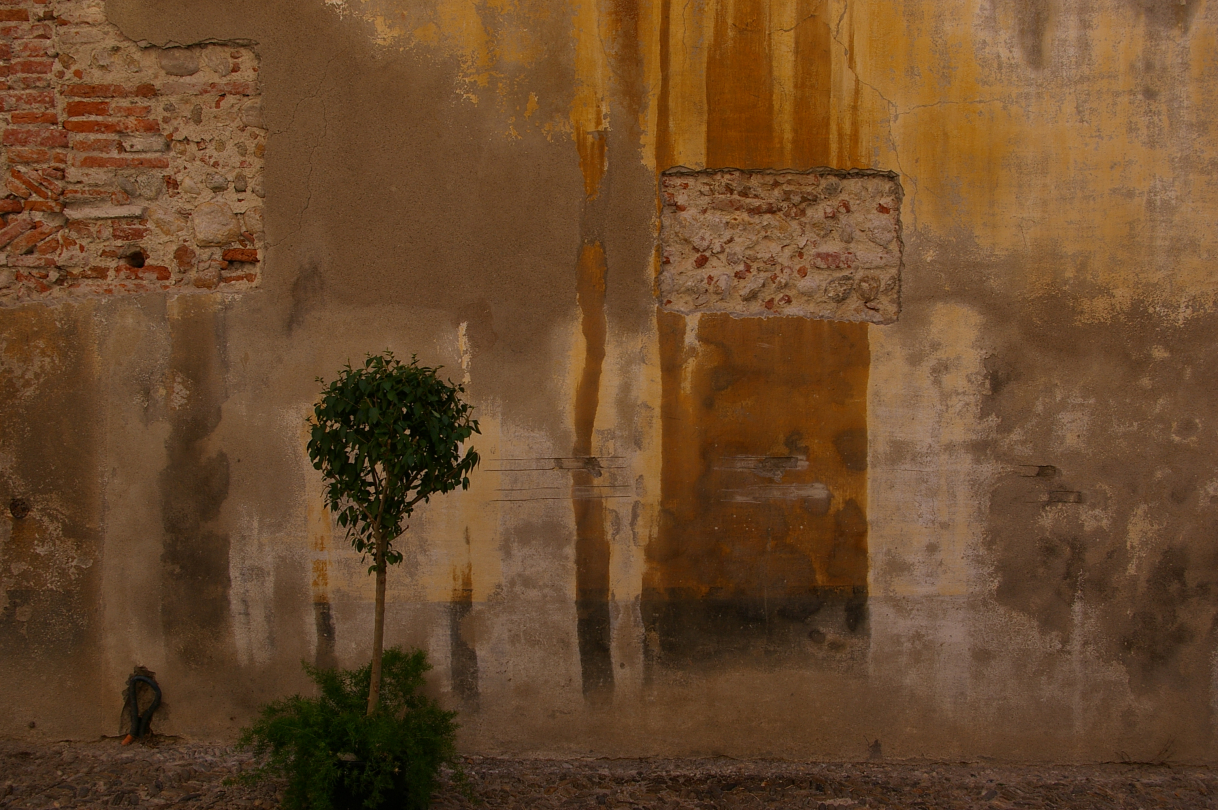 Maroc 2009 ©Bernard Perrine