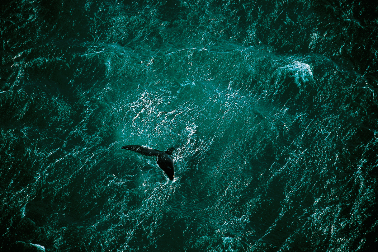 © Yann Arthus-Bertrand