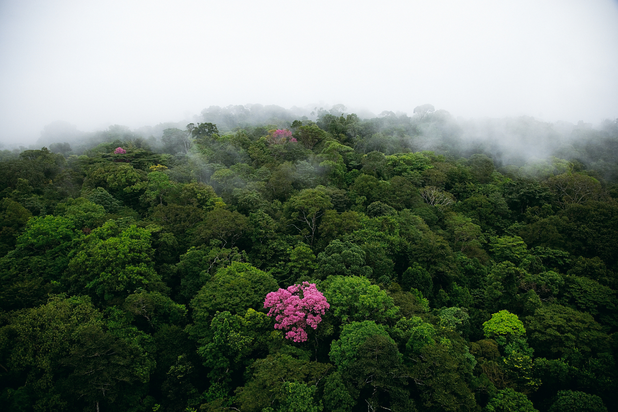 © Yann Arthus-Bertrand