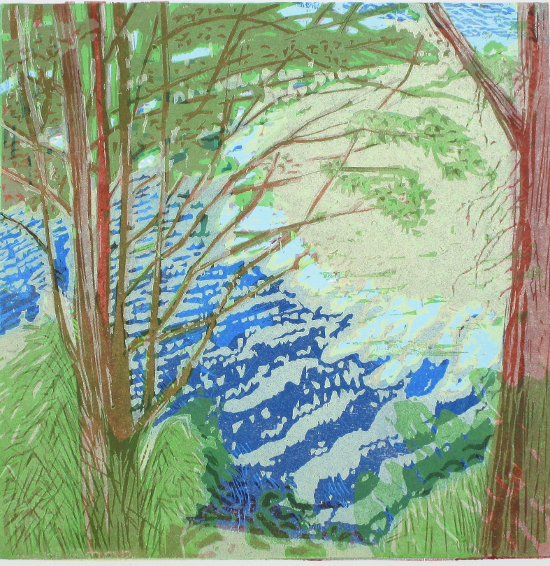  Wendelien Schönfeld, Eau, arbre, nuage, gravure sur bois, ed. 30, 2016
