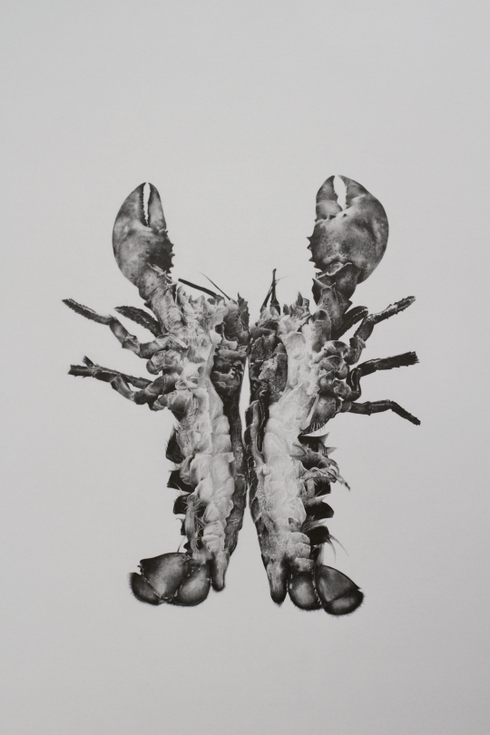 Léopold Poyet, "Carapace", crayon, 50 x 65 cm, 2020