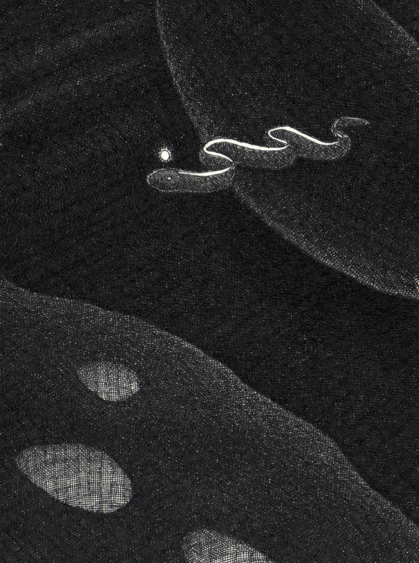 Blanche Berthelier, "Guided Through", encre de Chine à la plume sur papier, 17 x 12 cm, 2020