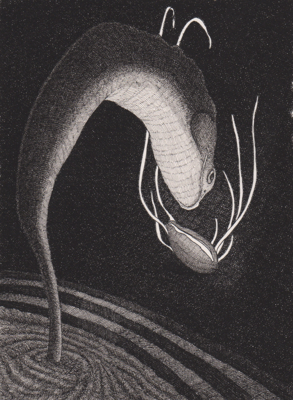 Blanche Berthelier, "Summoned", encre de Chine à la plume sur papier,  18 x 13 cm, 2020