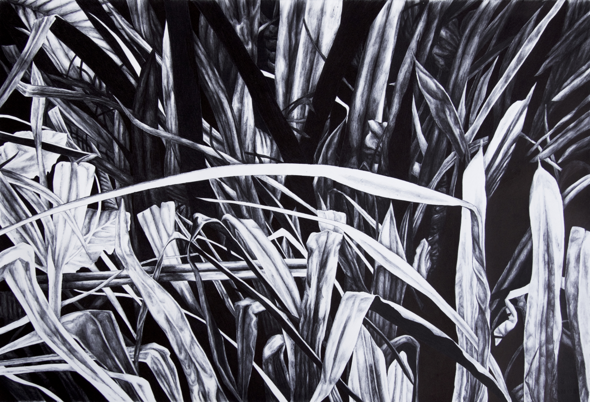 Camille Bruat, "Vue depuis ma fenêtre 1/3", 7 stylos à bille noir sur papier 300g, 56 x 76 cm, 2020