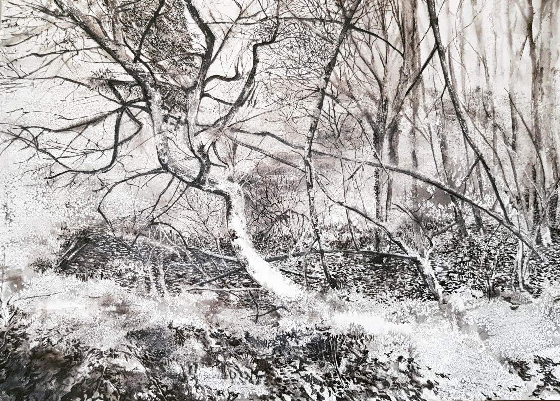 Maéva Maison, "Forêt", encre de Chine sur papier, 29,7 x 42 cm, 2020