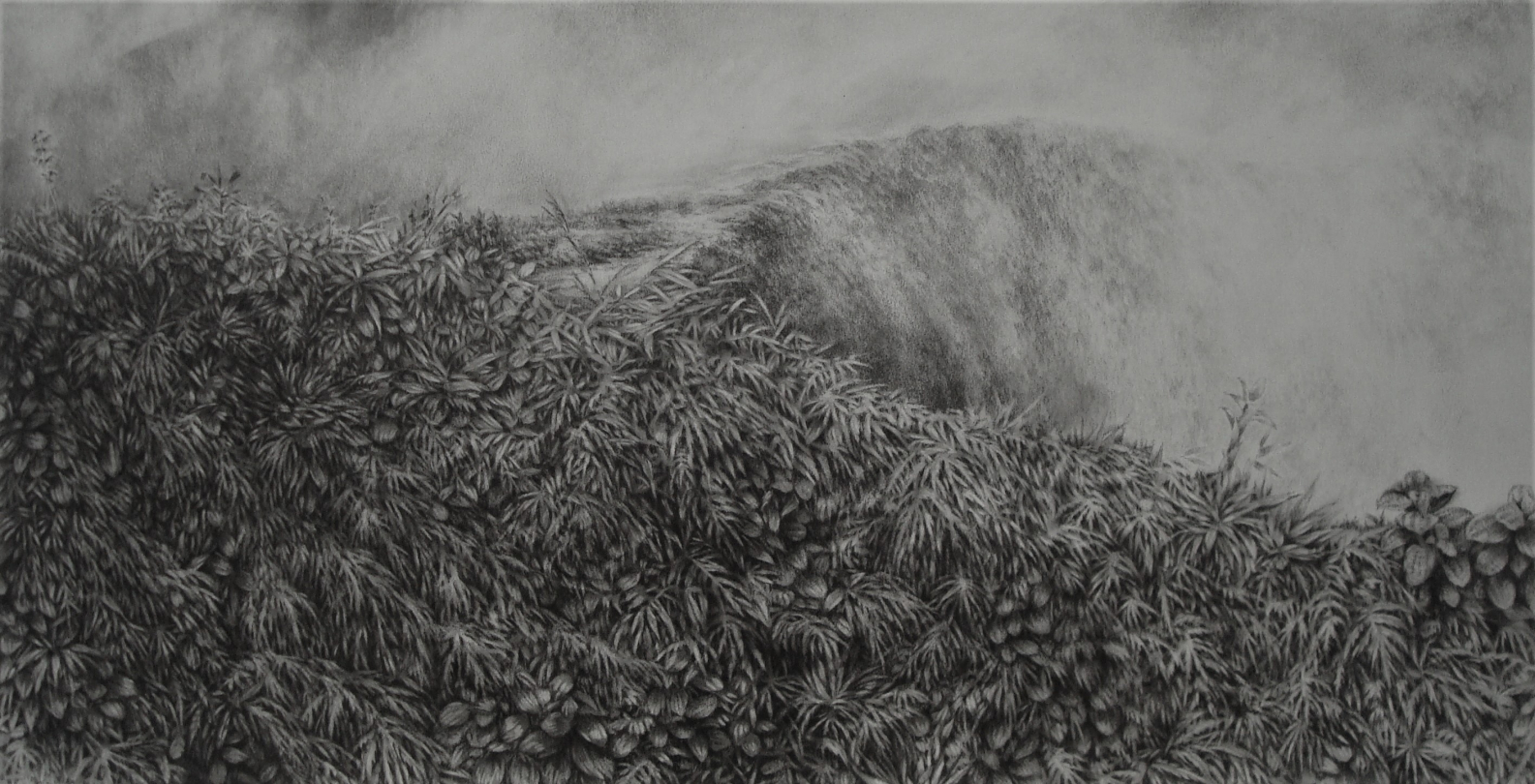 Clémence Wach, "Jungle n°5", pierre noire sur papier, 57,5 x 30 sur feuille 42 x 59,4 cm, 2020