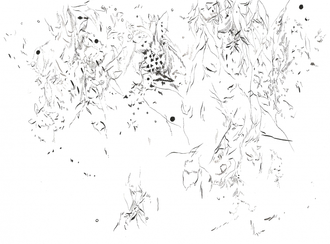 Iwan Warnet, "Des lignes d'erre, 2.4", plume et encre de Chine sur papier, 20,5 x 28 cm, 2020