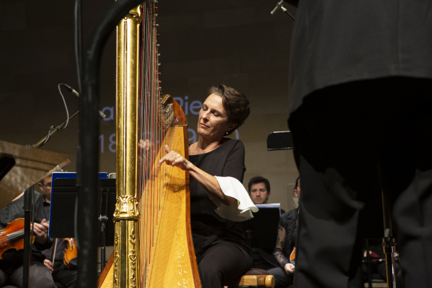 Concert-fauteuil-Laurent-Petitgirard-credit Juliette Agnel