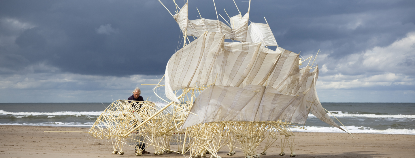  Plaudens Vela met Theo Jansen, foto Marco Zwinkels