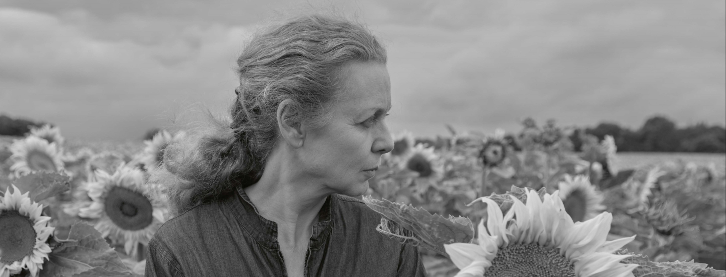 Dialogue inattendu : "Morisot/Pétrovitch, Soleil"