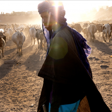 Peuls du Sahel, exposition de Pascal Maitre au Pavillon Comtesse de Caen