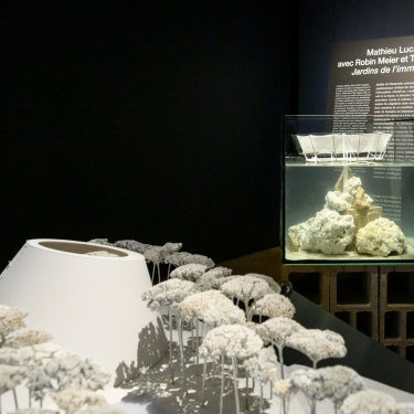 Emulations II - concours d'architecture