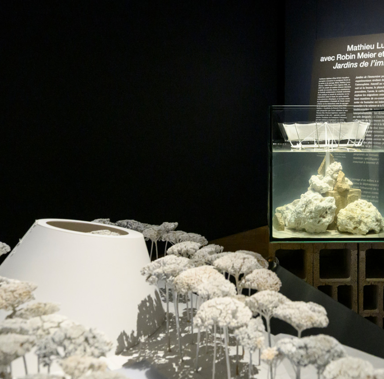 Exposition Emulations II