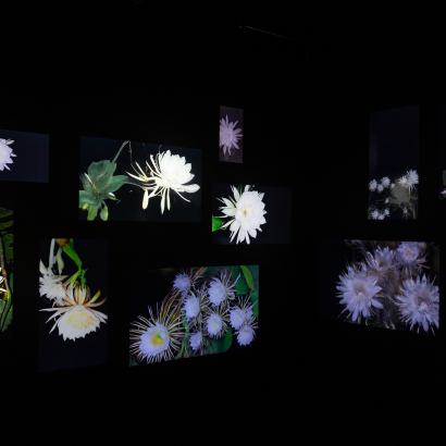 oeuvre d'Anna Ridler, lauréate du Prix Arts numériques